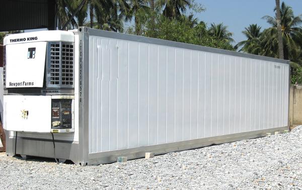 Container Lạnh Fuwa 45 Feet 